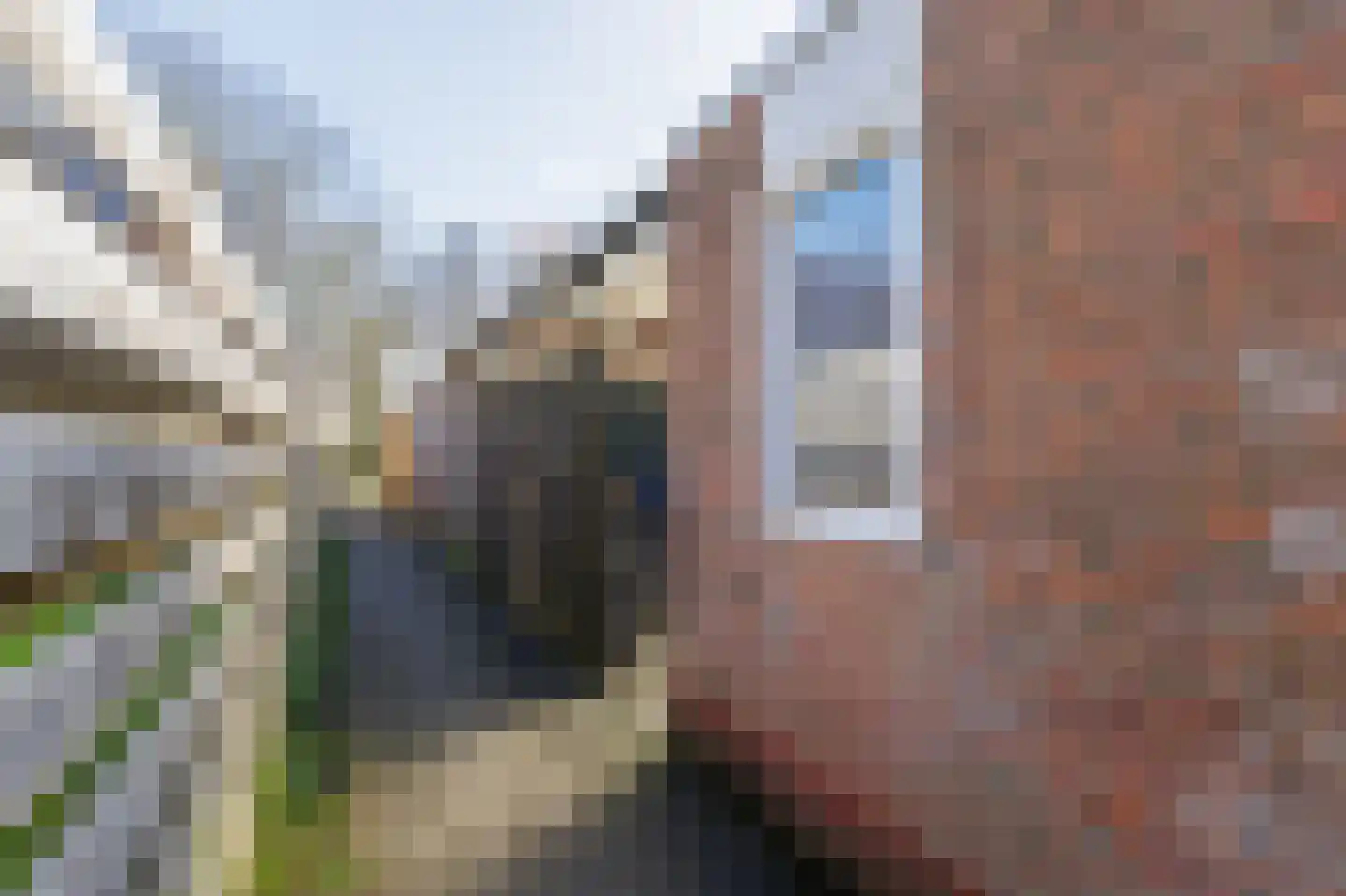 Boelemaheerd 3 Groningen thumbnail 28