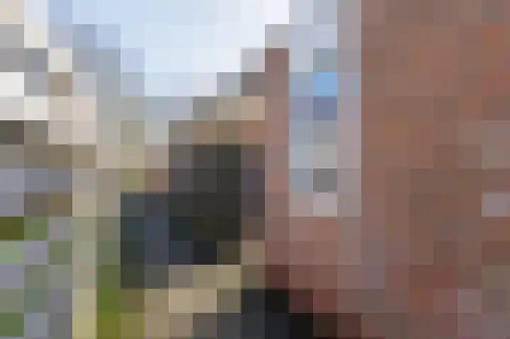 Boelemaheerd 3 Groningen thumbnail 28