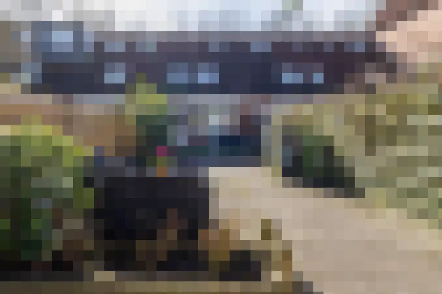 Boelemaheerd 3 Groningen thumbnail 29