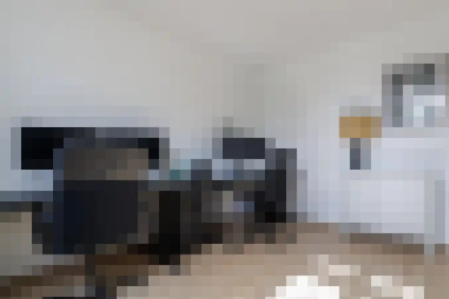 Boelemaheerd 3 Groningen thumbnail 34