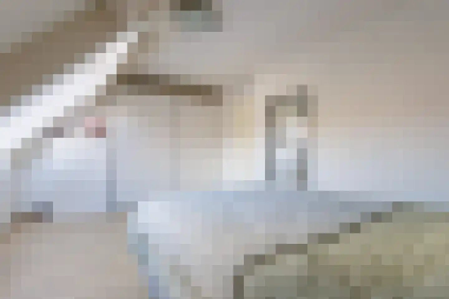 Boelemaheerd 3 Groningen thumbnail 40