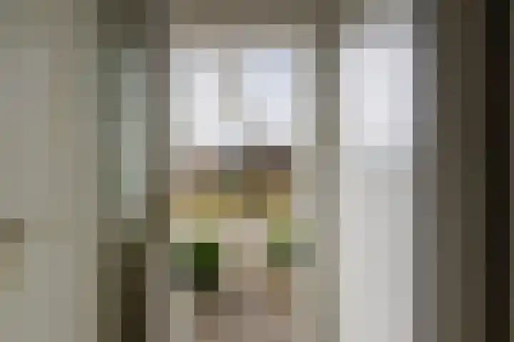 Boelemaheerd 3 Groningen thumbnail 50