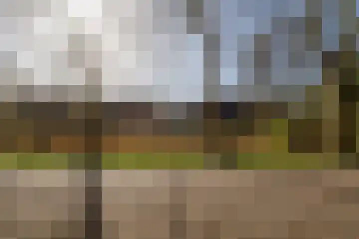 Boelemaheerd 3 Groningen thumbnail 51