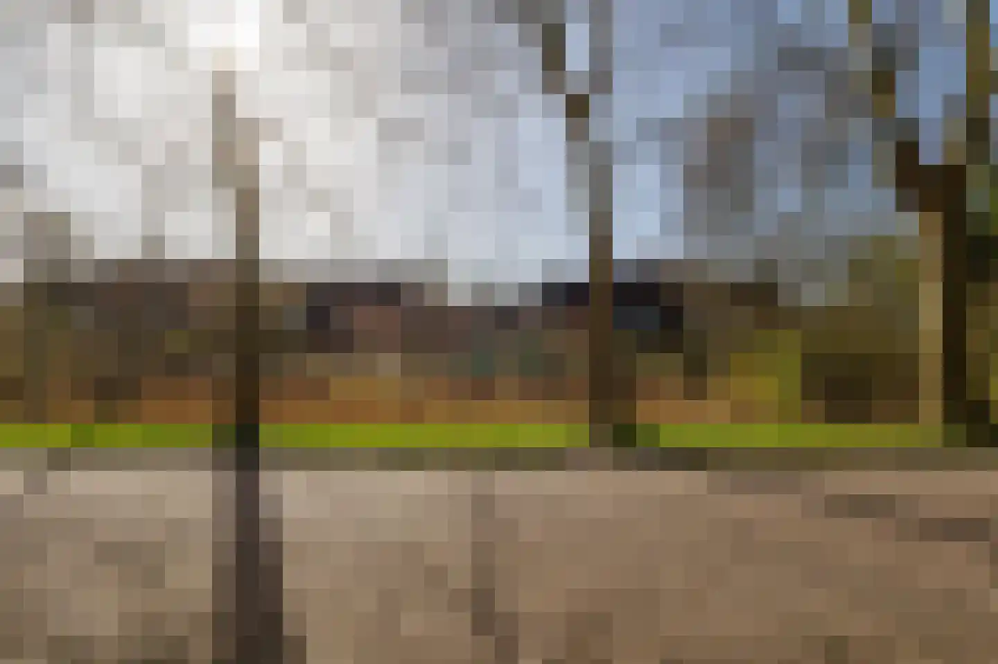 Boelemaheerd 3 Groningen thumbnail 51