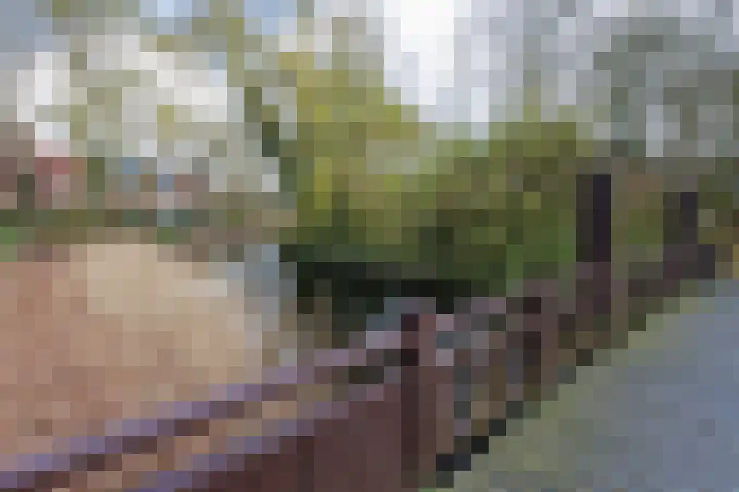 Boelemaheerd 3 Groningen thumbnail 52