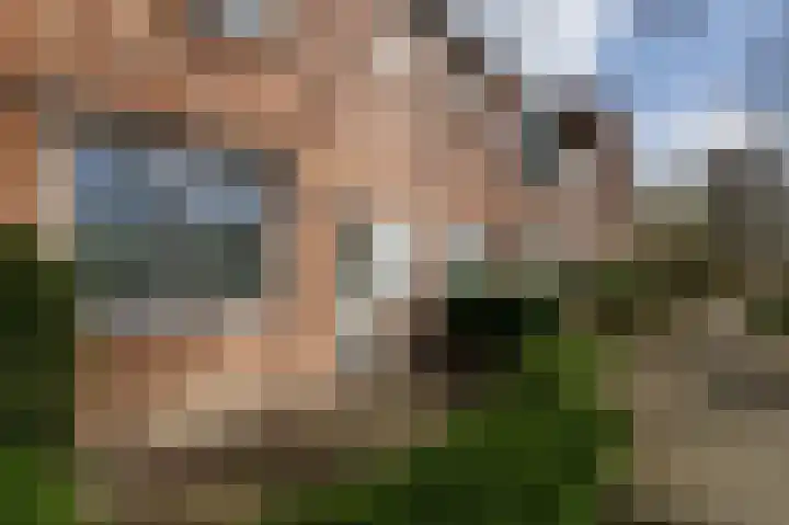 Boelemaheerd 3 Groningen thumbnail 7