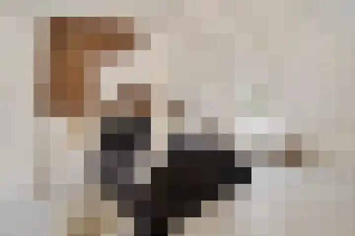 Boelemaheerd 6 Groningen thumbnail 10