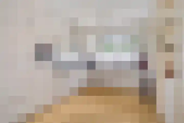 Boelemaheerd 6 Groningen thumbnail 15