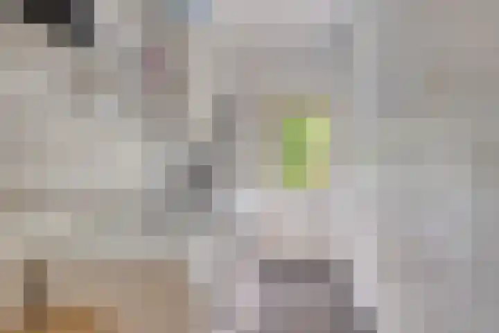 Boelemaheerd 6 Groningen thumbnail 18