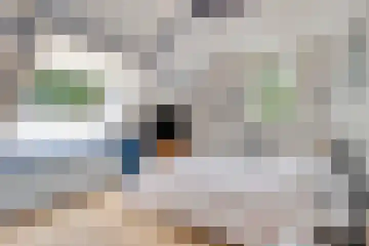 Boelemaheerd 6 Groningen thumbnail 19
