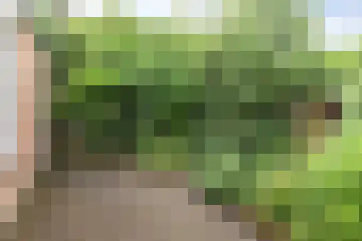 Boelemaheerd 6 Groningen thumbnail 26