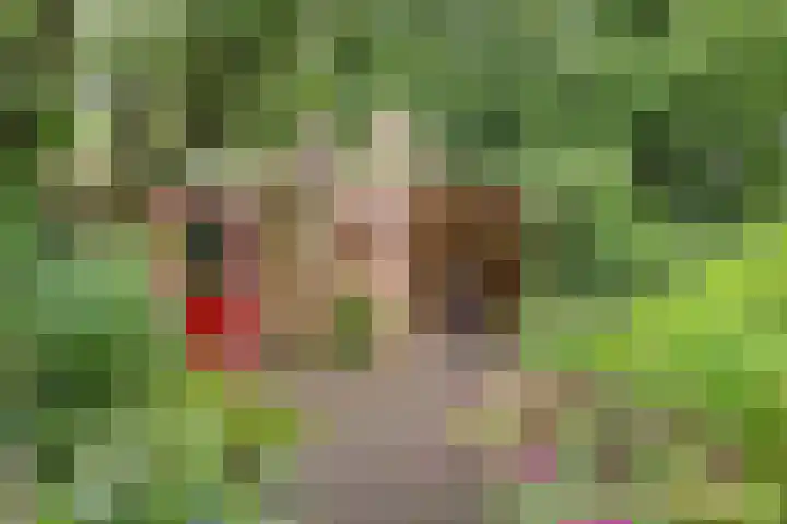 Boelemaheerd 6 Groningen thumbnail 27