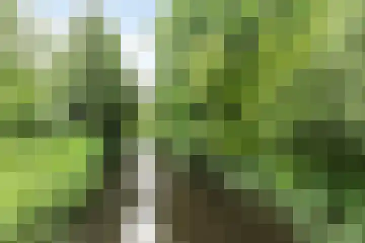 Boelemaheerd 6 Groningen thumbnail 31