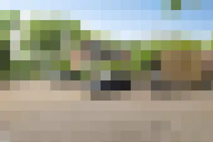 Boelemaheerd 6 Groningen thumbnail 33