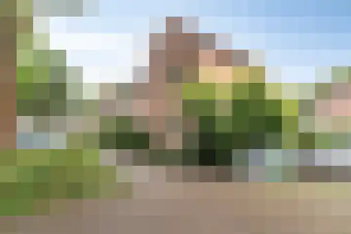 Boelemaheerd 6 Groningen thumbnail 34