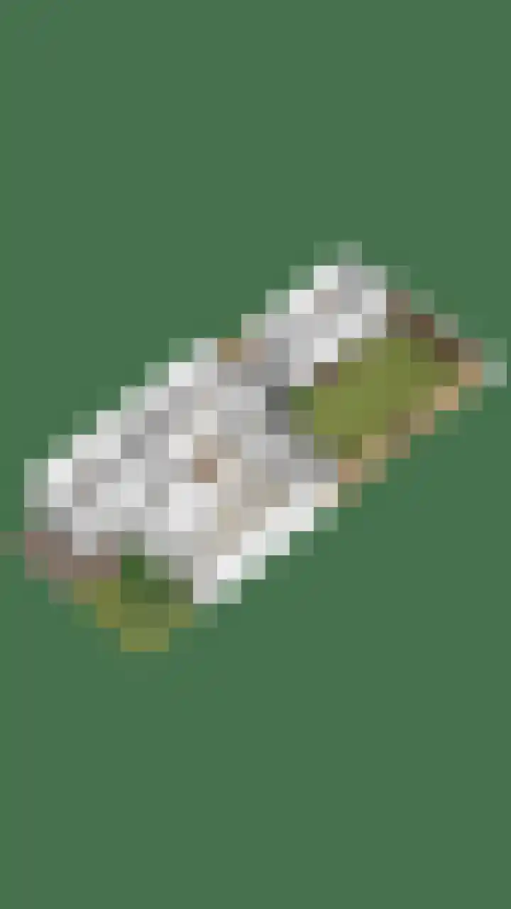Boelemaheerd 6 Groningen thumbnail 5