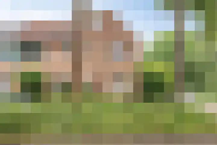 Boelemaheerd 6 Groningen thumbnail 7