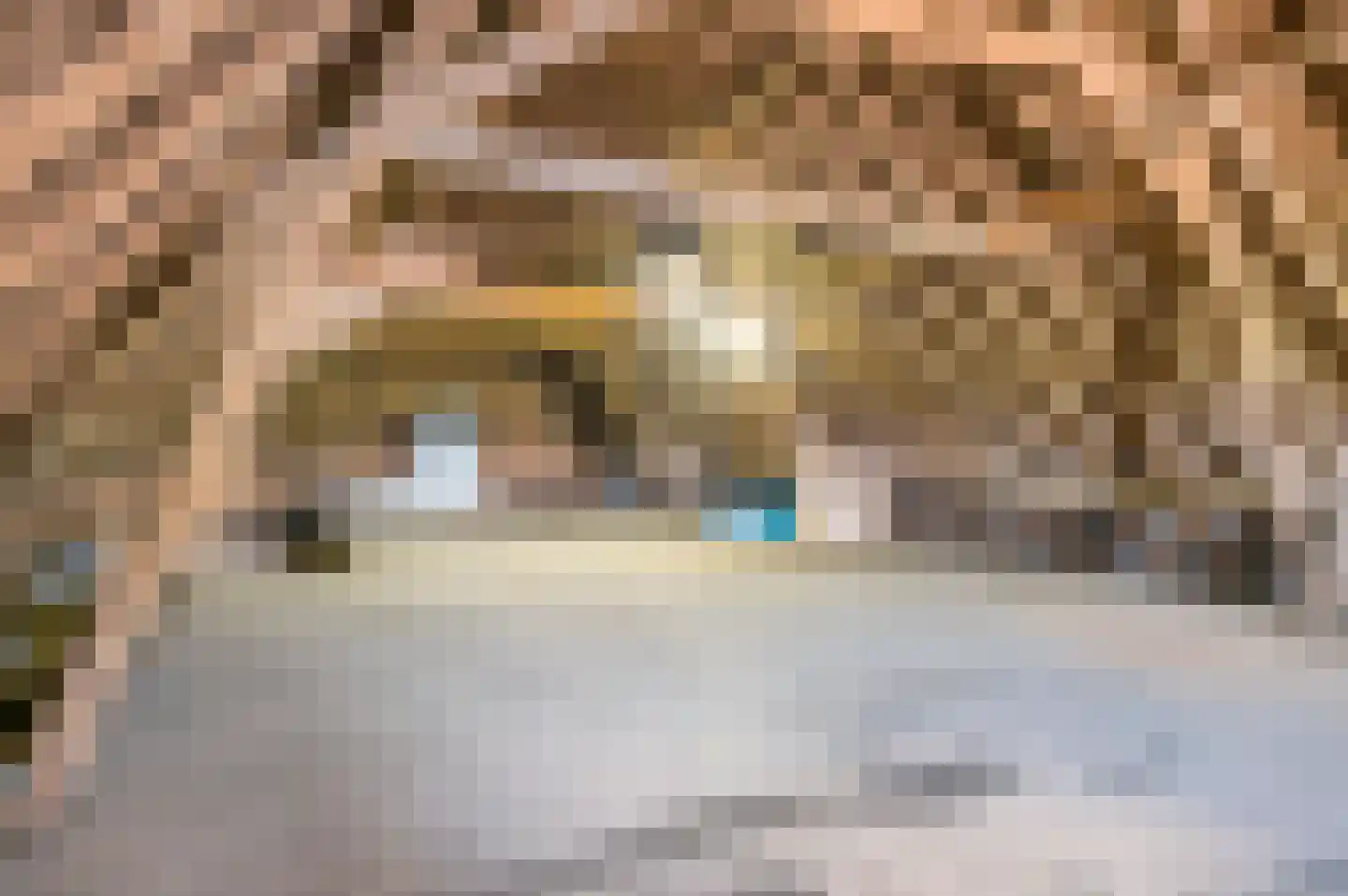 Boelenhamsestraat 9 Hemmen thumbnail 24
