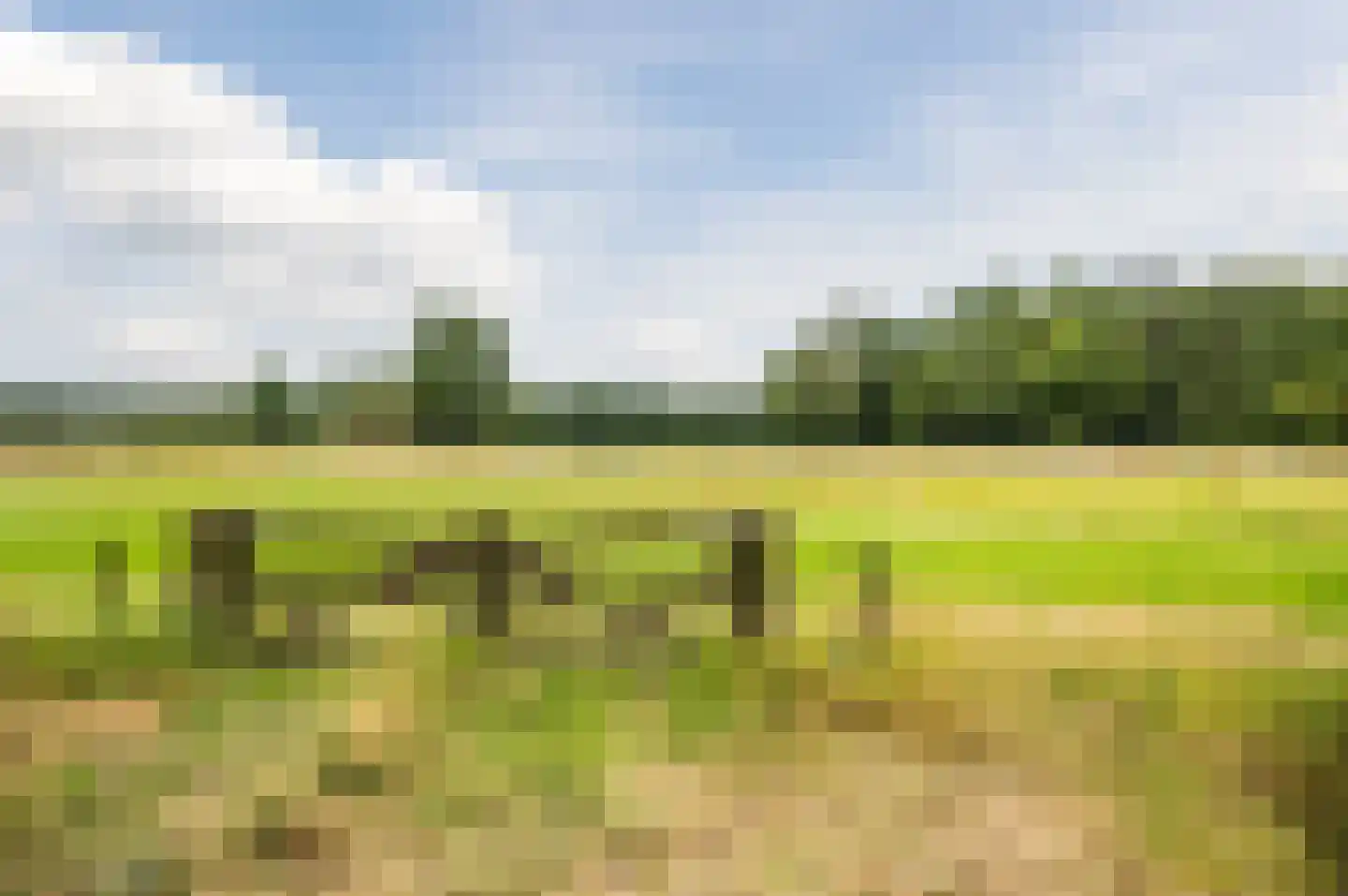Boelenhamsestraat 9 Hemmen thumbnail 4