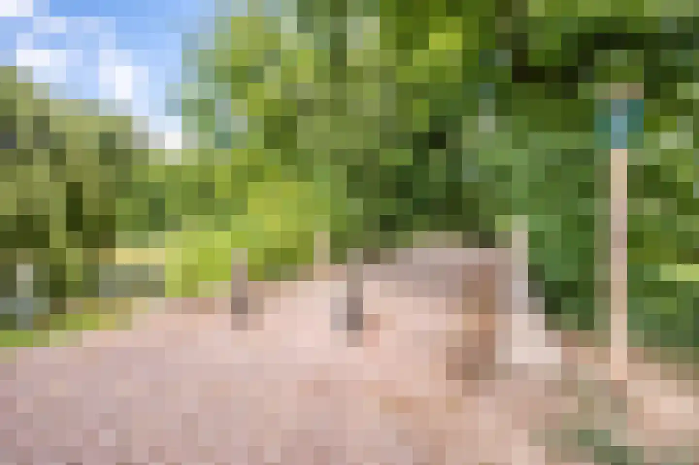 Boelenhamsestraat 9 Hemmen thumbnail 43
