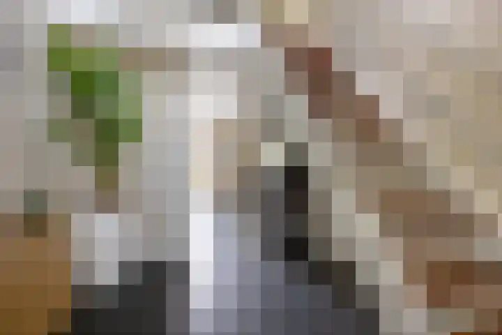 Boelenkamp 20 Oosterwolde thumbnail 10
