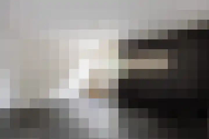 Boelenkamp 20 Oosterwolde thumbnail 39