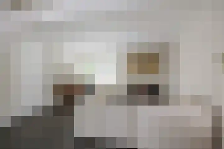 Boelenkamp 20 Oosterwolde thumbnail 42