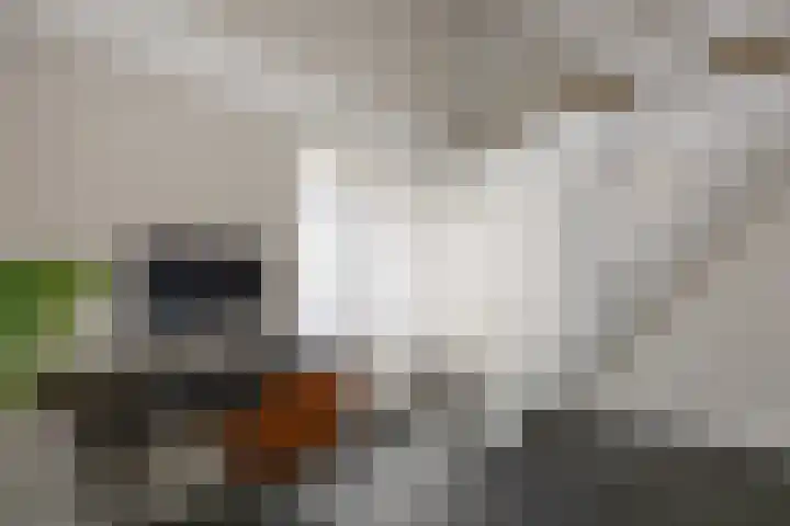 Boelenkamp 20 Oosterwolde thumbnail 43