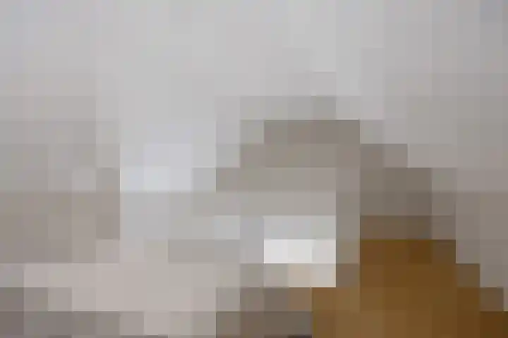 Boelenkamp 20 Oosterwolde thumbnail 45