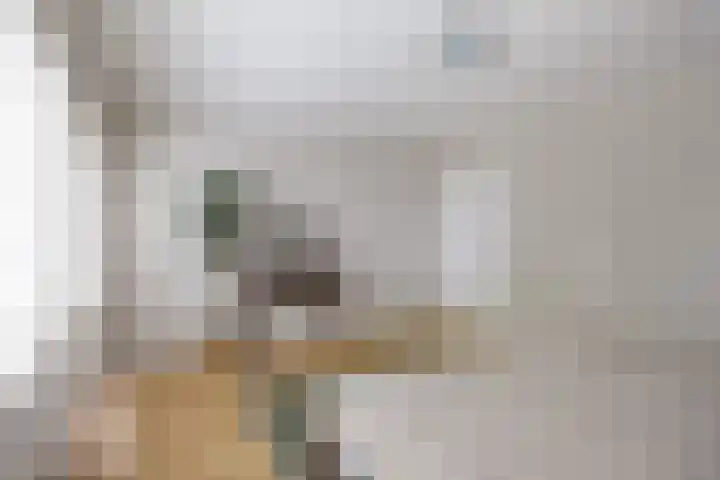 Boelenkamp 20 Oosterwolde thumbnail 59