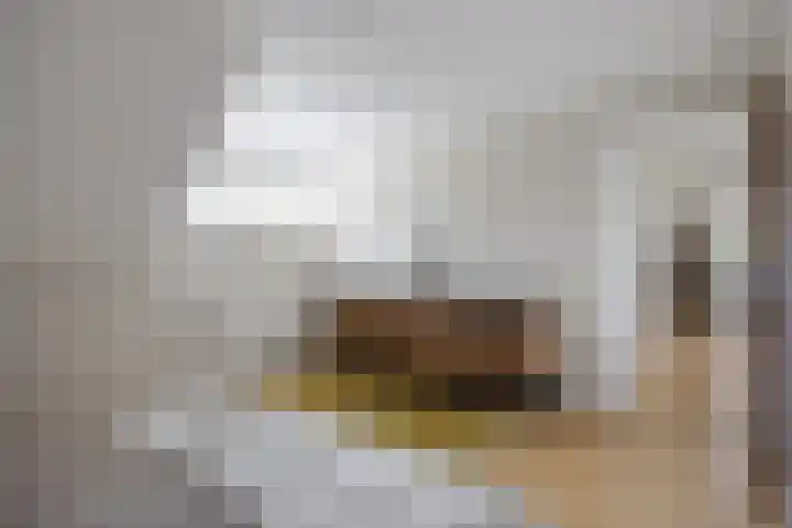 Boelenkamp 20 Oosterwolde thumbnail 61
