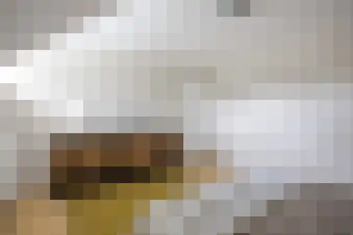 Boelenkamp 20 Oosterwolde thumbnail 62