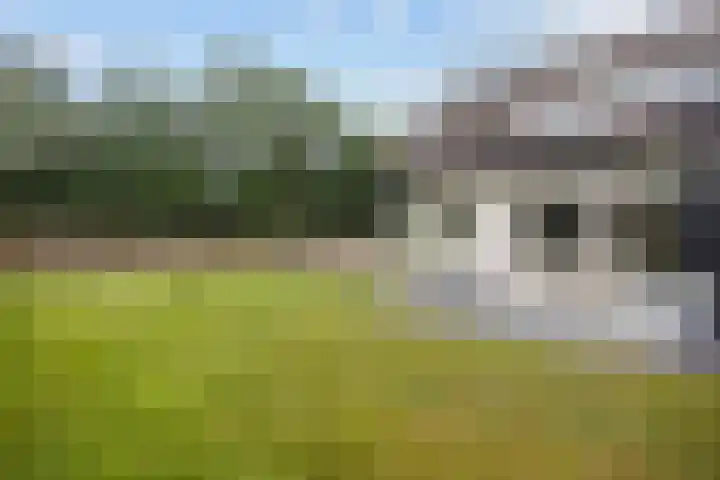 Boelenkamp 20 Oosterwolde thumbnail 75