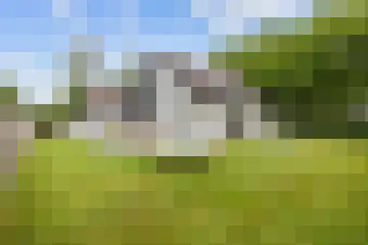 Boelenkamp 20 Oosterwolde thumbnail 77