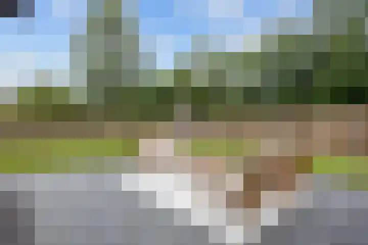 Boelenkamp 20 Oosterwolde thumbnail 81