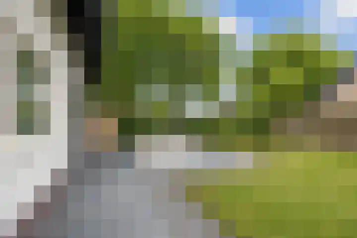 Boelenkamp 20 Oosterwolde thumbnail 82