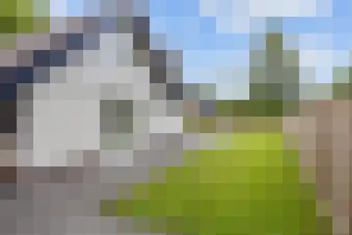 Boelenkamp 20 Oosterwolde thumbnail 86