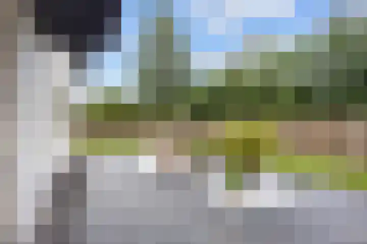 Boelenkamp 20 Oosterwolde thumbnail 87
