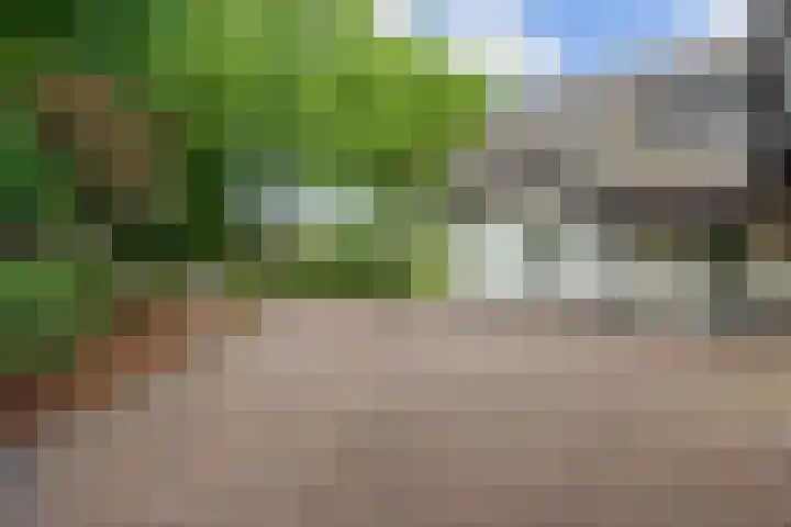Boelenkamp 20 Oosterwolde thumbnail 90