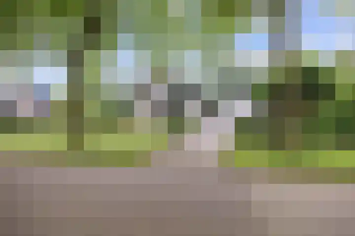 Boelenkamp 20 Oosterwolde thumbnail 91