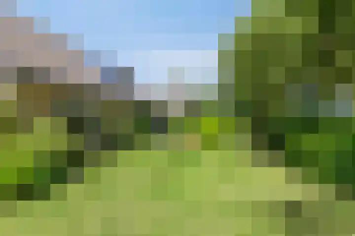 Boelenkamp 22 Oosterwolde thumbnail 10