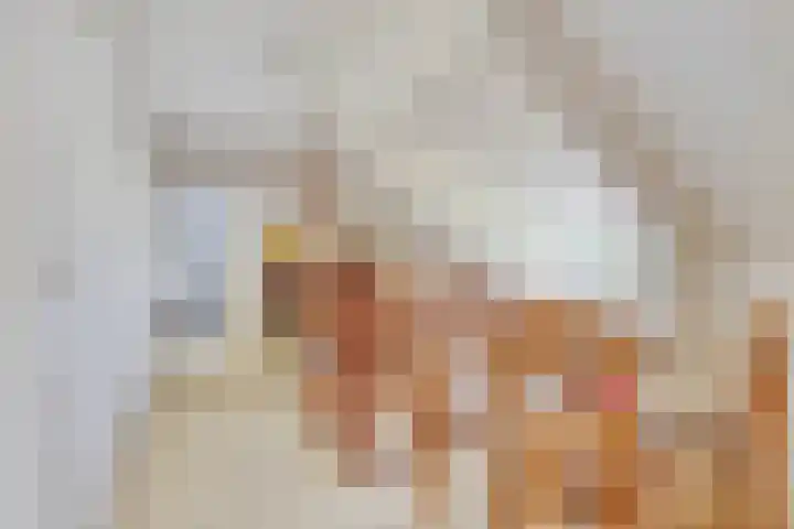 Boelenkamp 22 Oosterwolde thumbnail 31