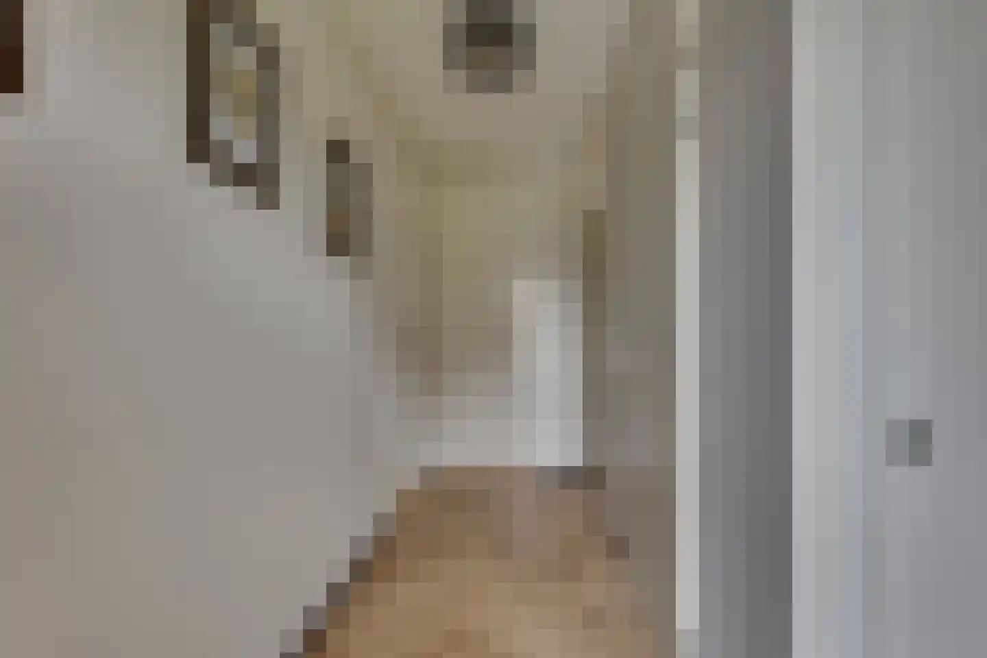 Boelenshage 14 Emmeloord thumbnail 14