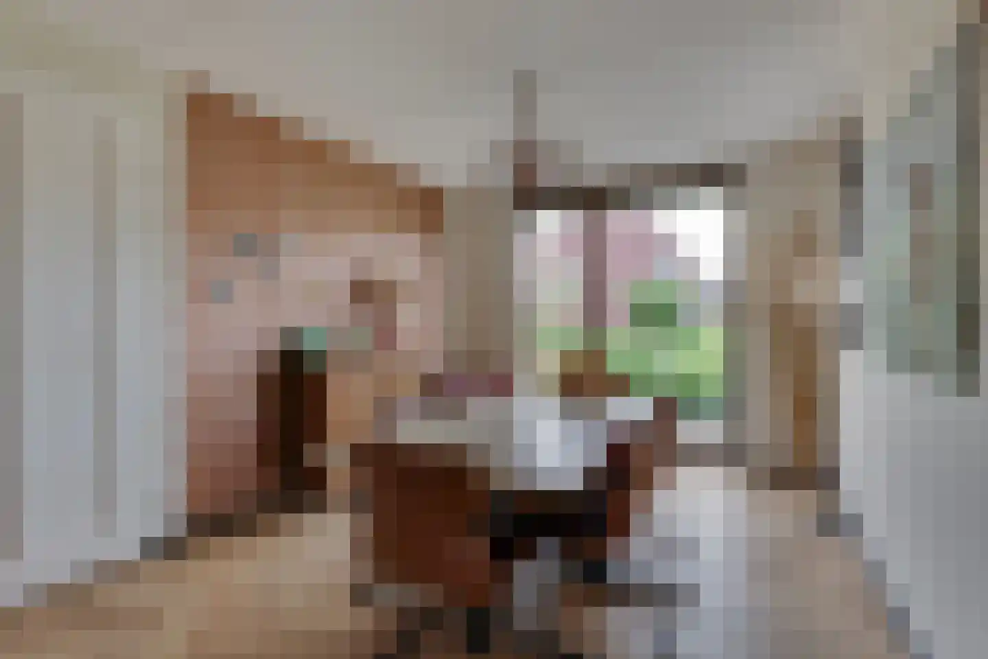 Boelenshage 14 Emmeloord thumbnail 19