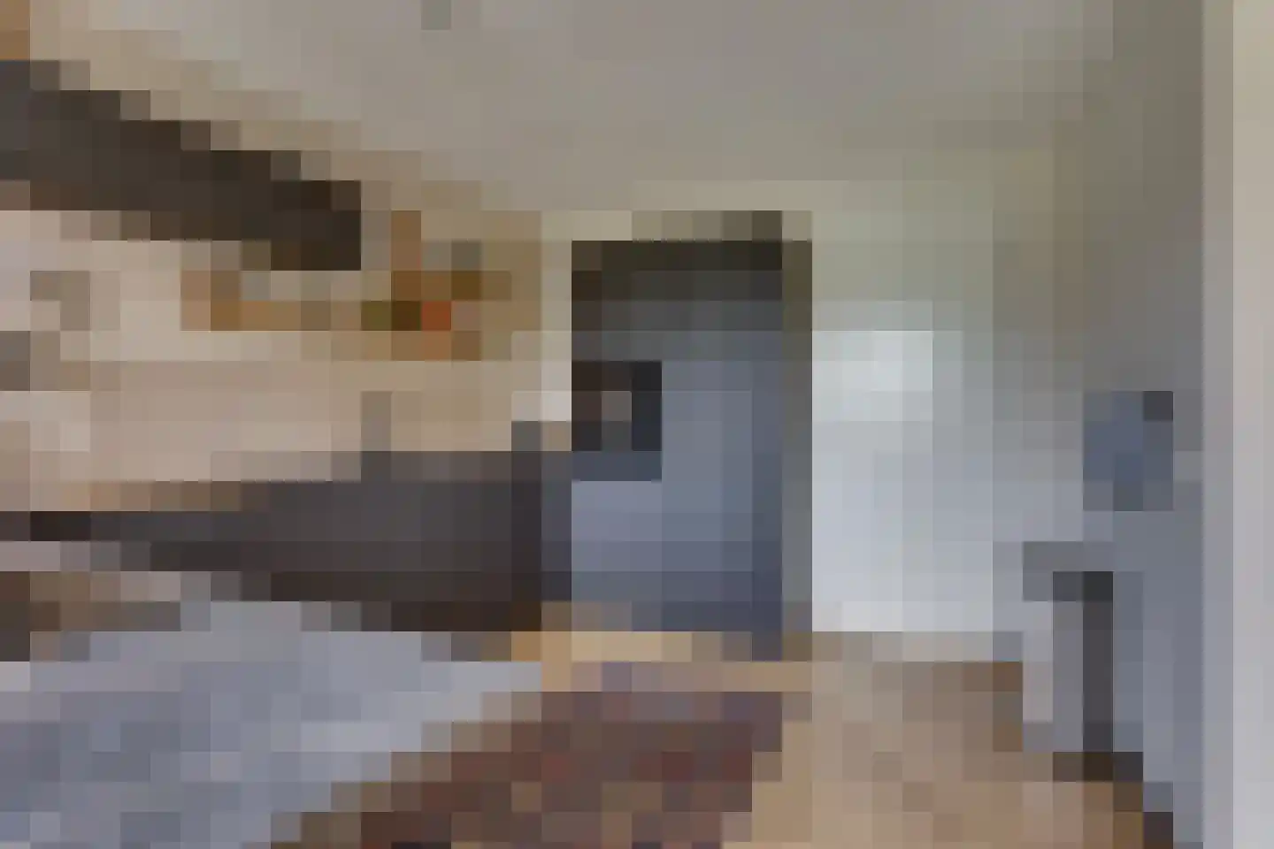 Boelenshage 14 Emmeloord thumbnail 21