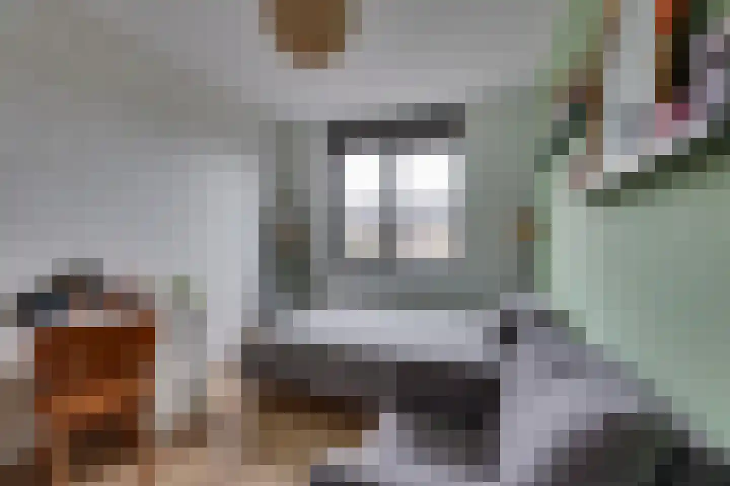 Boelenshage 14 Emmeloord thumbnail 24