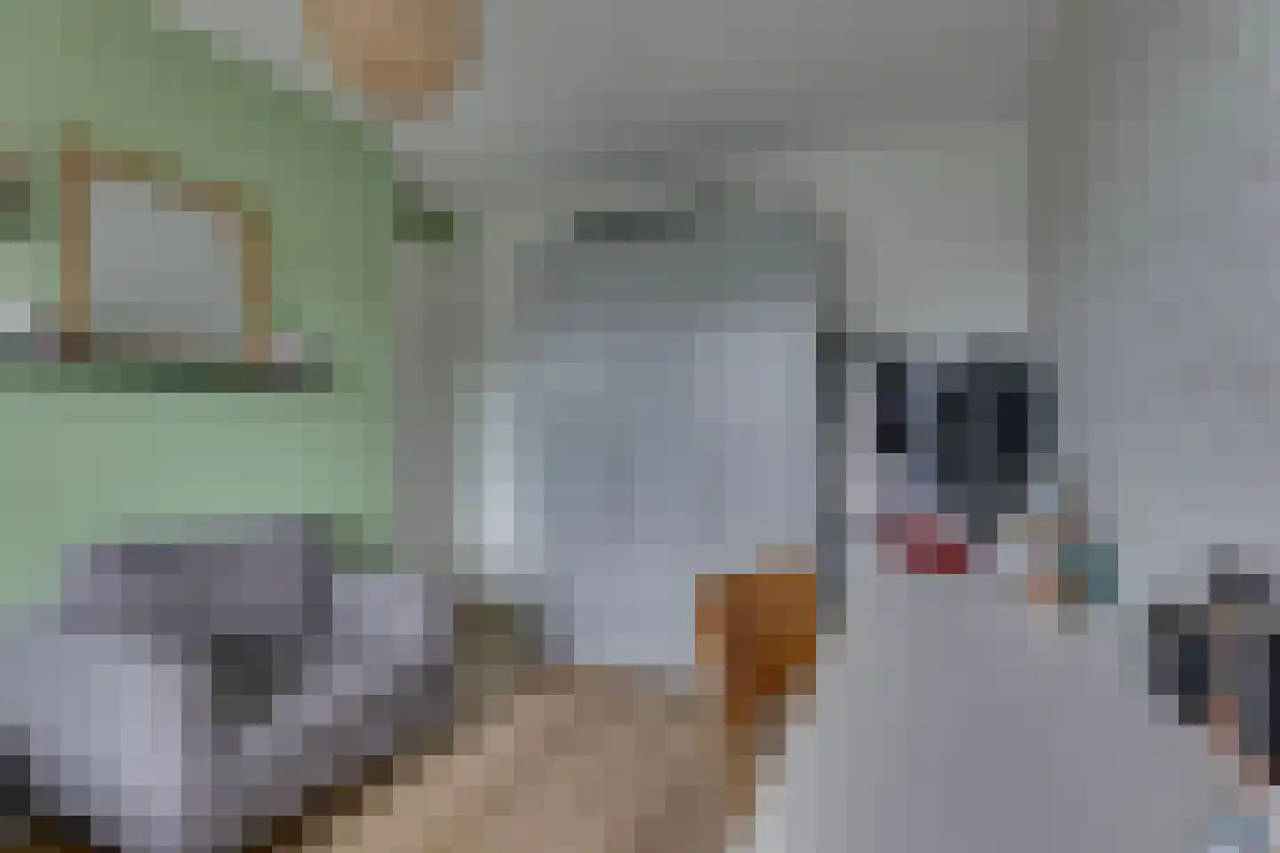 Boelenshage 14 Emmeloord thumbnail 25