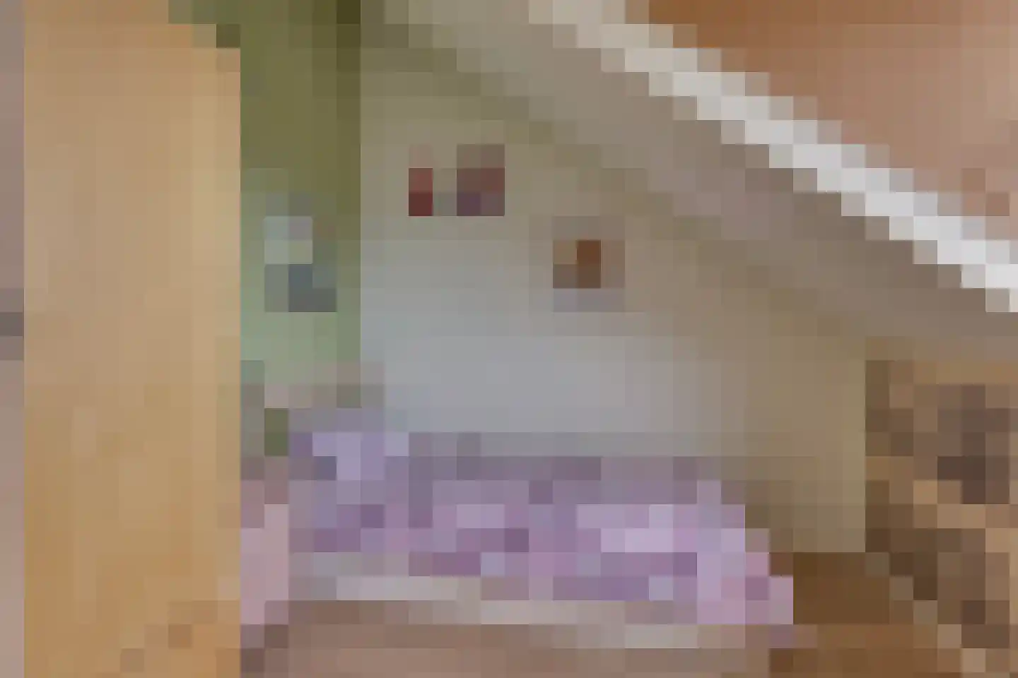 Boelenshage 14 Emmeloord thumbnail 34