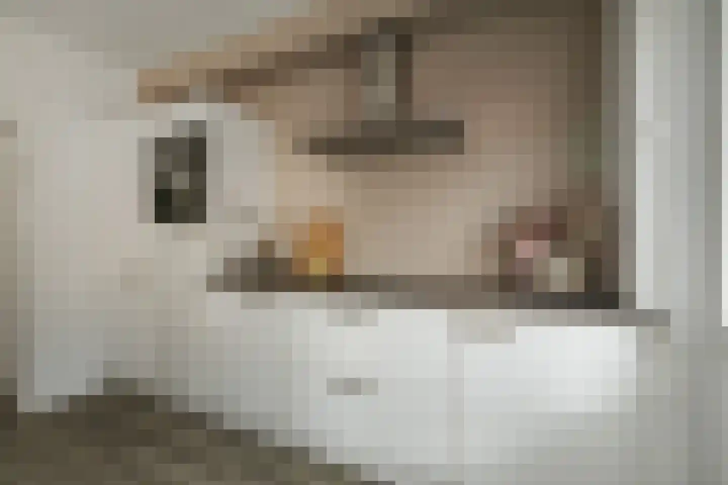 Boelenspad 6 Diepenveen thumbnail 10