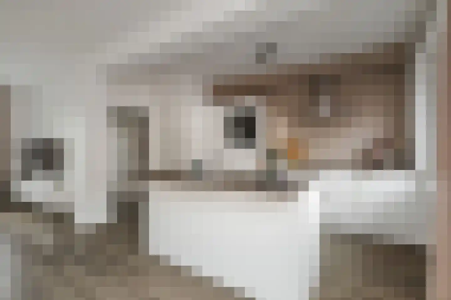 Boelenspad 6 Diepenveen thumbnail 11